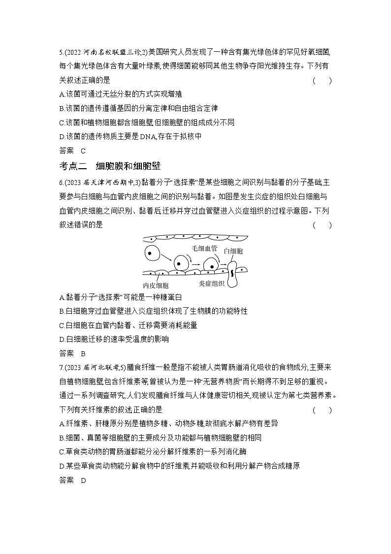 1_02-专题二　细胞的结构与功能（分层集训word）第2页