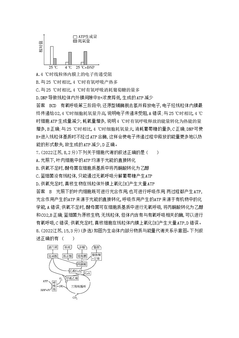 5_专题五细胞呼吸03