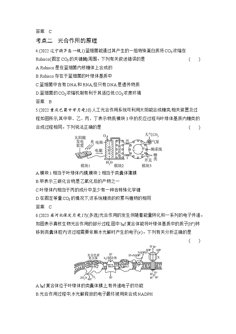 1_06-专题六　光合作用（分层集训word）第2页