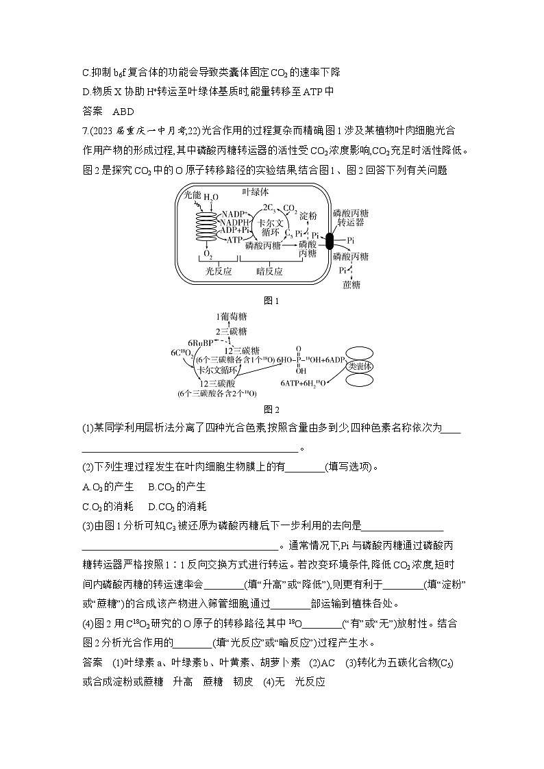 1_06-专题六　光合作用（分层集训word）第3页