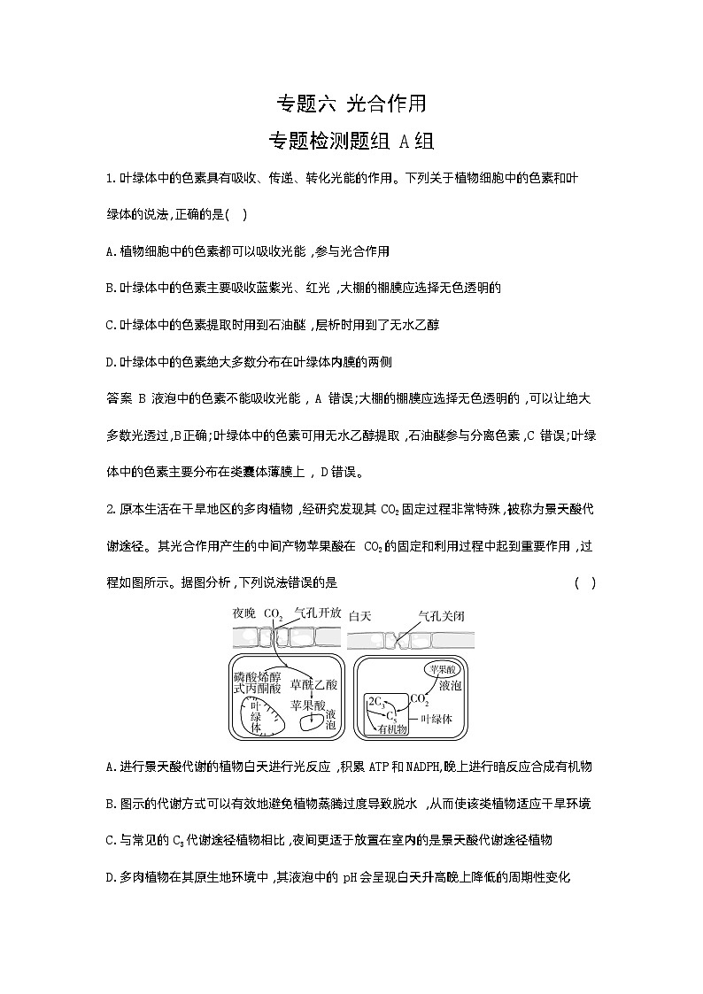 1_06-专题六  光合作用第1页