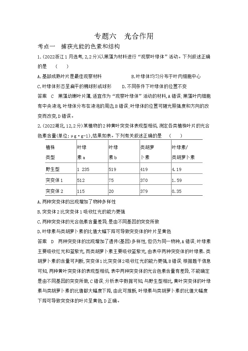 1_1_4.专题六 光合作用第1页