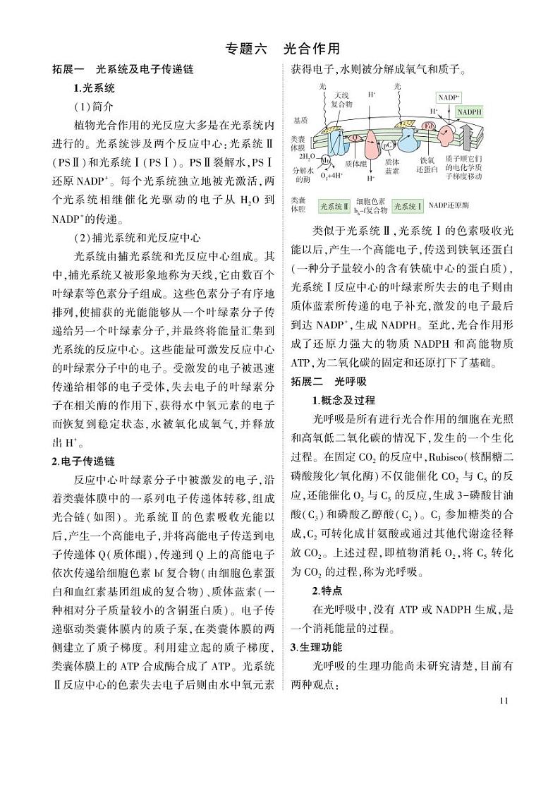 1_专题六 光合作用 拓展第1页