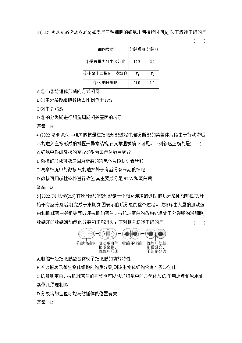 7_专题七细胞的增殖02
