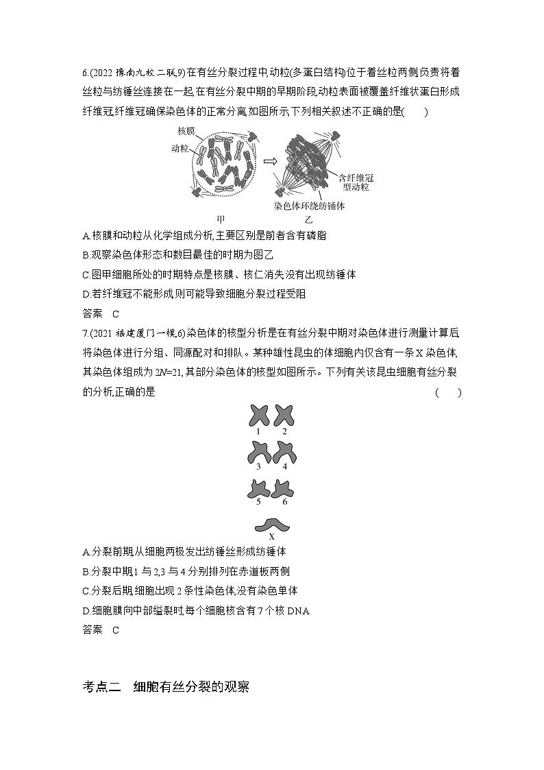 7_专题七细胞的增殖03