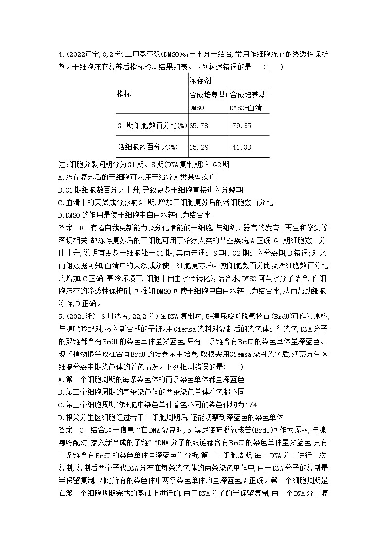 7_专题七细胞的增殖02