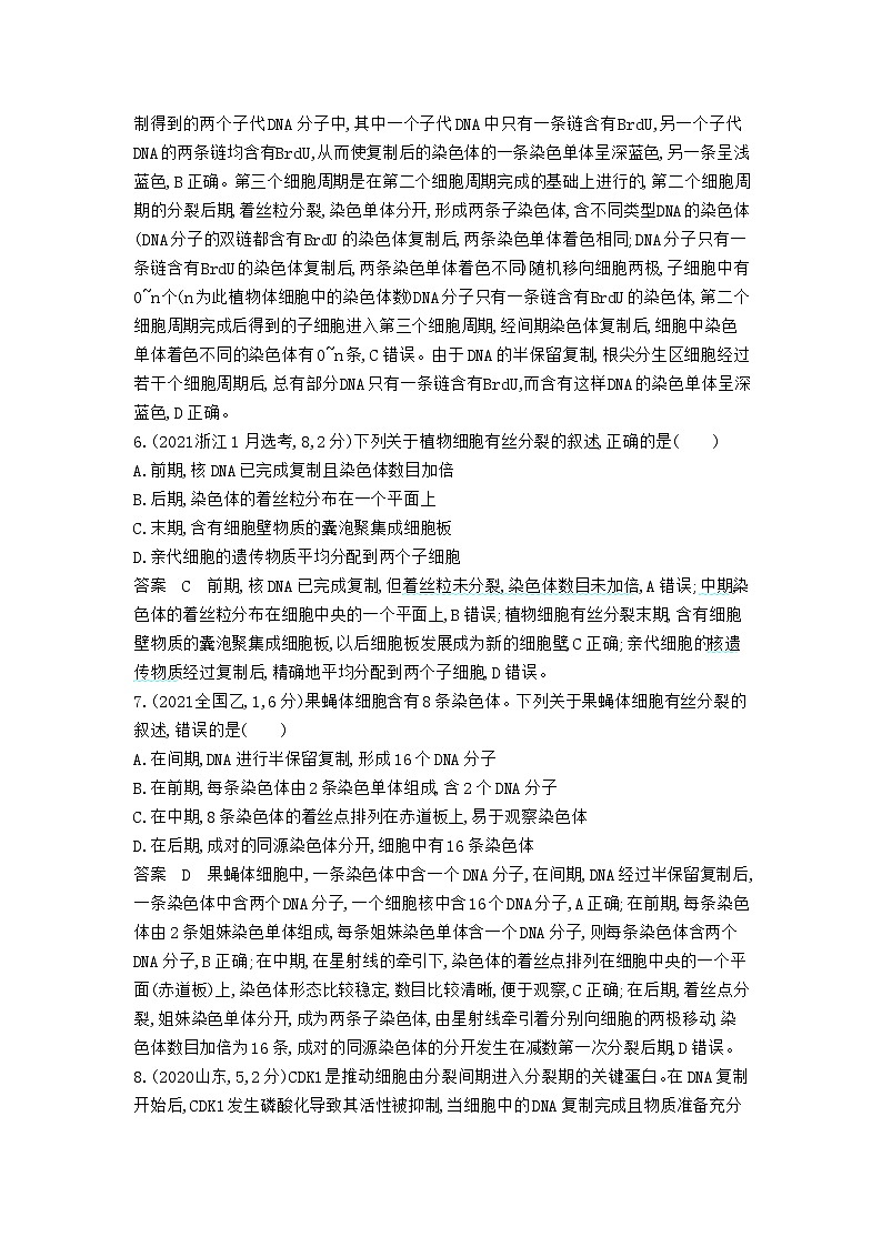 7_专题七细胞的增殖03