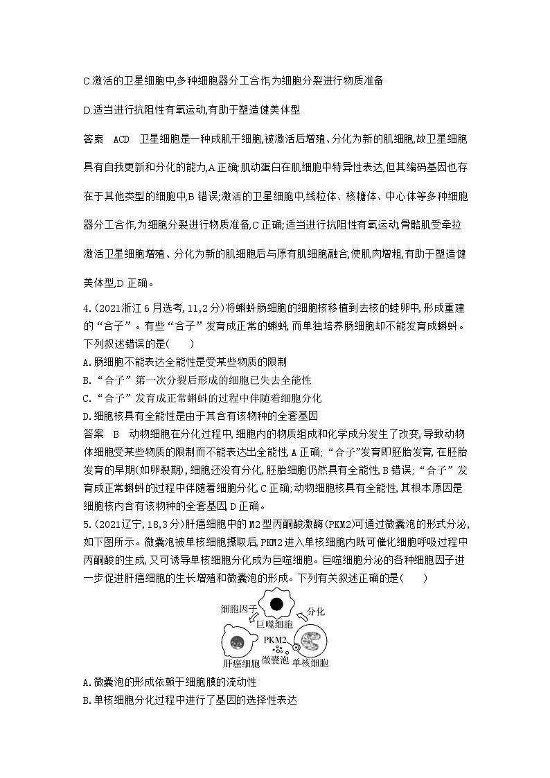 1_1_4.专题八 细胞的分化、衰老和死亡第2页