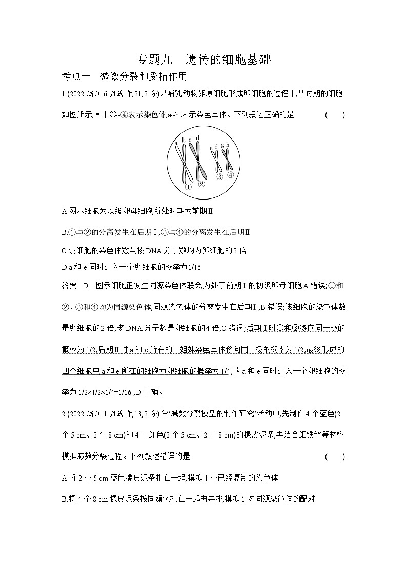 1_1_4.专题九 遗传的细胞基础第1页