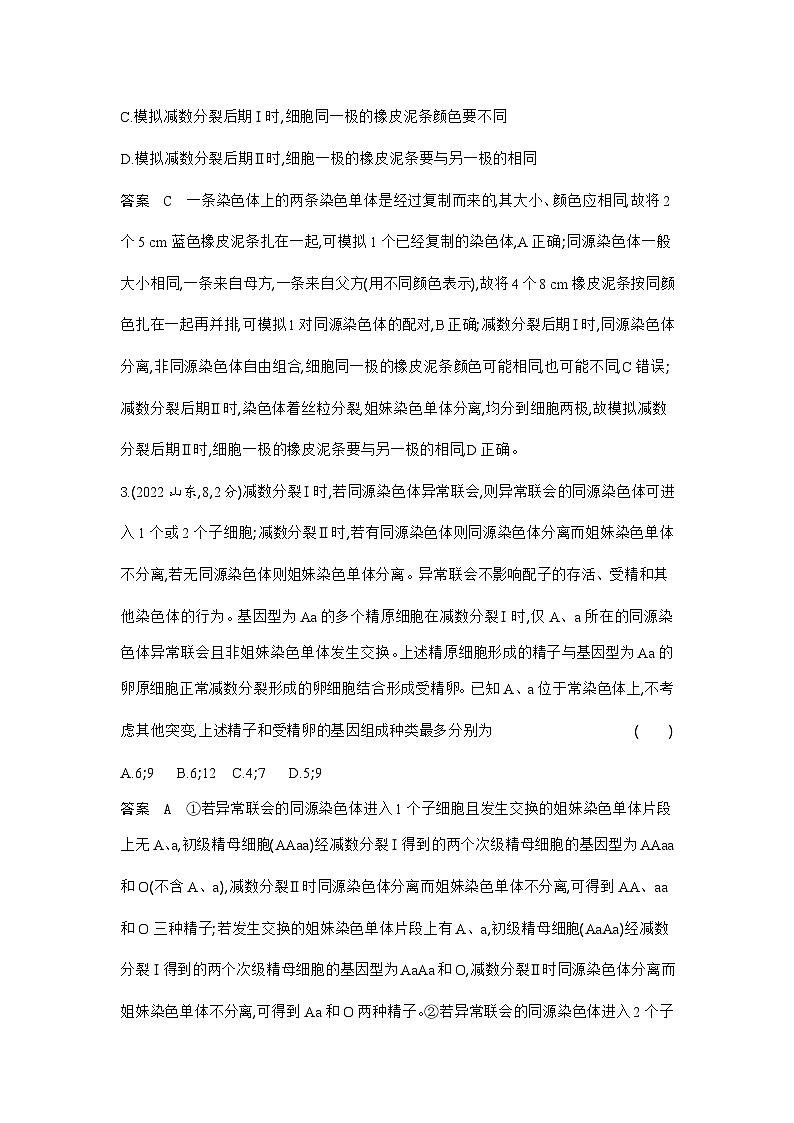 1_1_4.专题九 遗传的细胞基础第2页