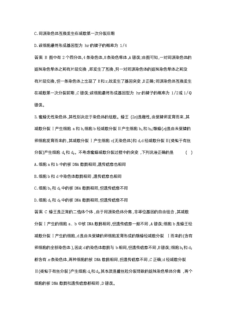 1_09-专题九  遗传的细胞基础第2页