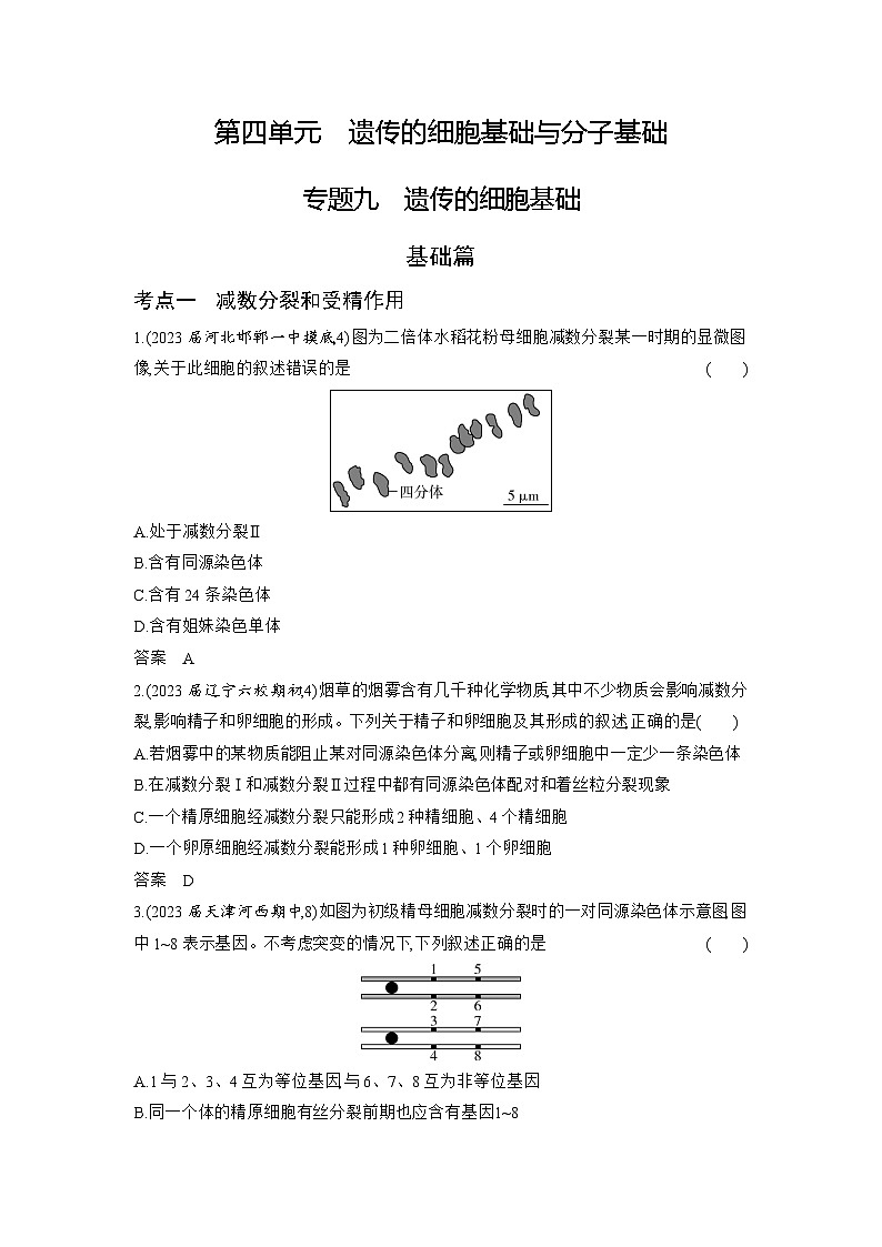 1_09-专题九　遗传的细胞基础（分层集训word）第1页