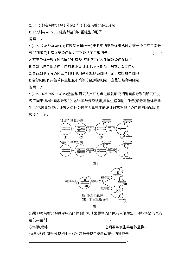 1_09-专题九　遗传的细胞基础（分层集训word）第2页