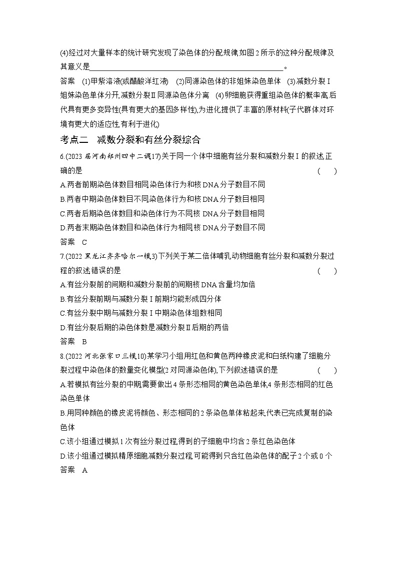 1_09-专题九　遗传的细胞基础（分层集训word）第3页