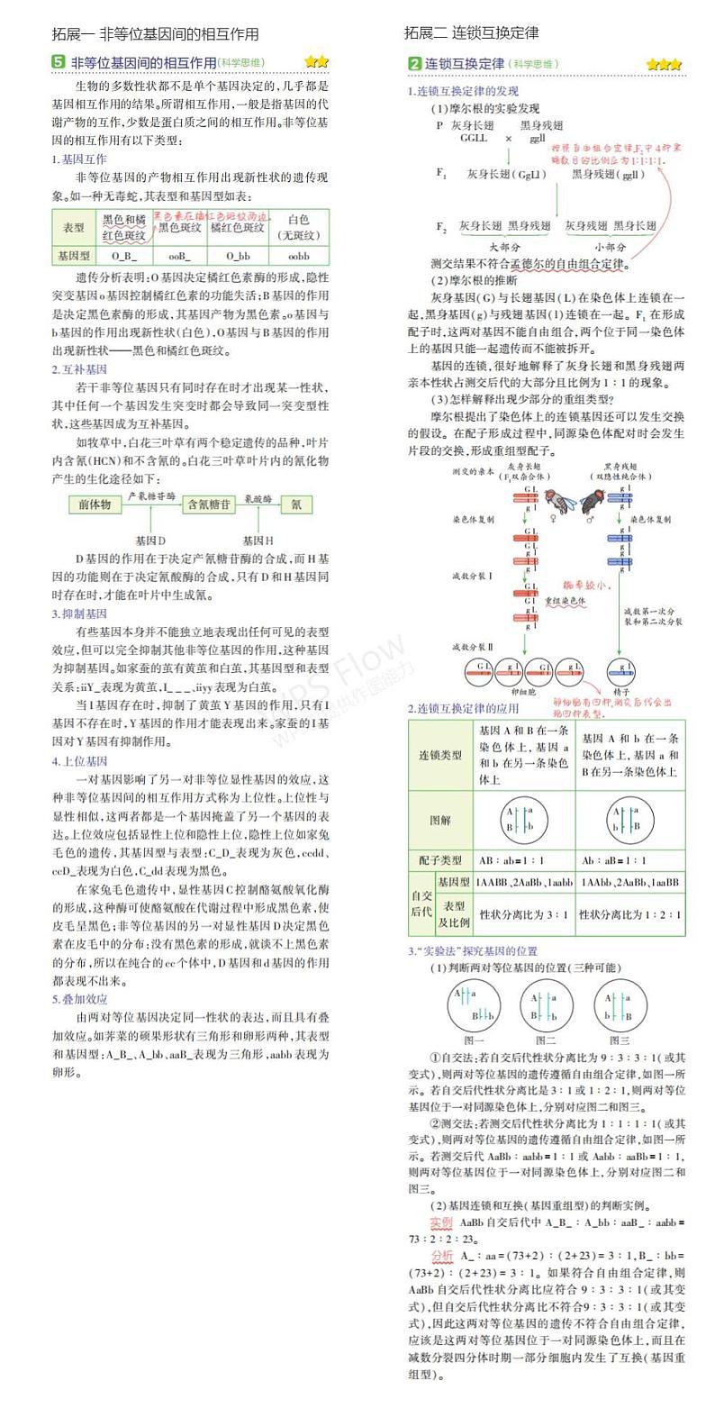 1_专题十二 基因的自由组合定律 拓展第1页