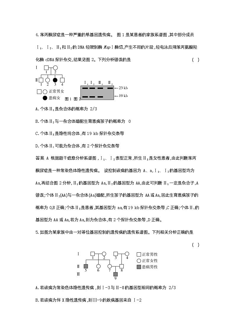 1_13-专题十三  伴性遗传和人类遗传病第3页