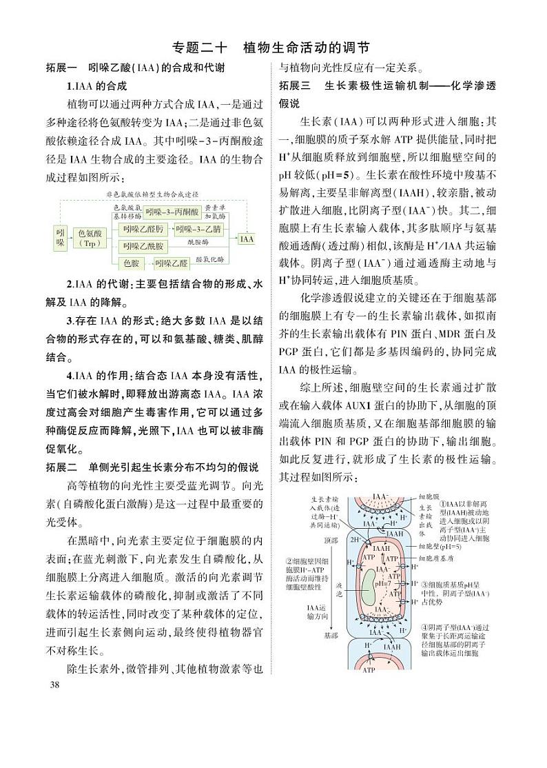 1_专题二十 植物生命活动的调节 拓展第1页