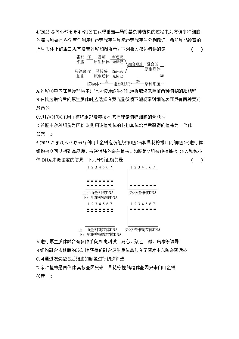 1_26-专题二十六　细胞工程与胚胎工程（分层集训word）第2页