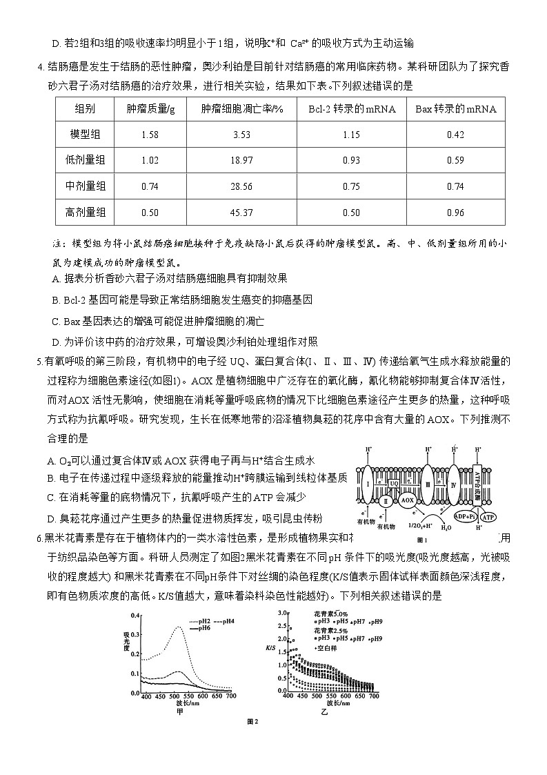 重庆市第八中学2023-2024学年高三生物上学期高考适应性月考（一）（Word版附解析）第2页