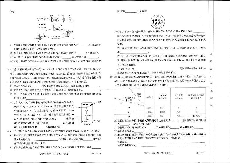 生物第2页
