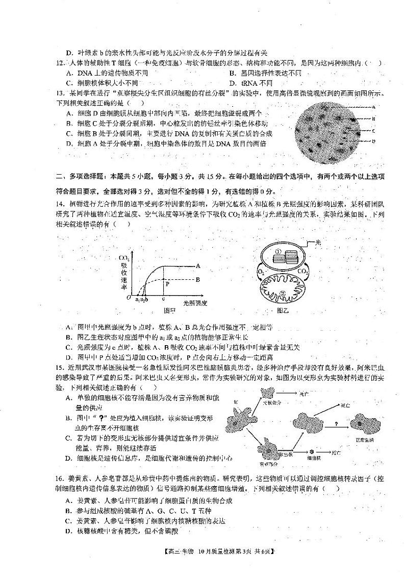 安徽省徽师联盟2023-2024学年高三上学期10月联考 生物试题及答案03