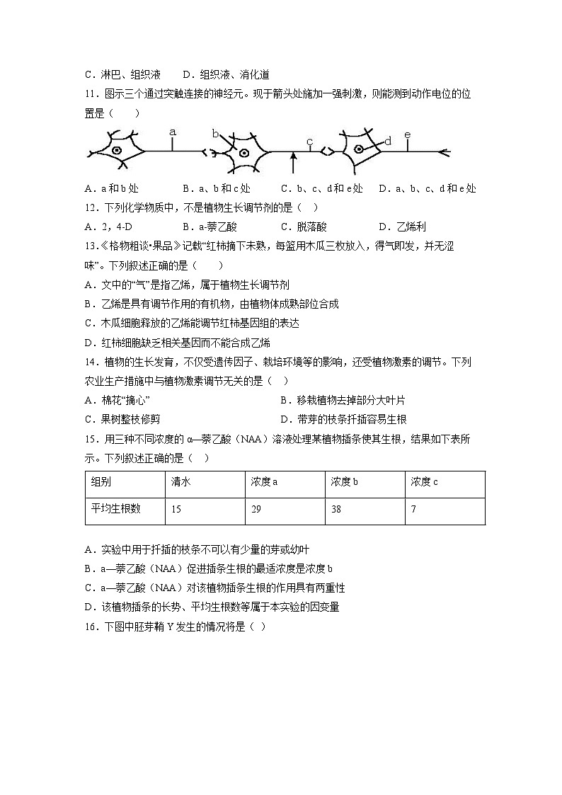 四川省雅安市天立学校2022-2023学年高二上学期期中考试生物试题B03