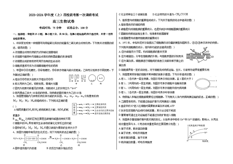 黑龙江省佳木斯市佳木斯八中等四校联考2023-2024学年高三上学期第一次调研考试生物试题01