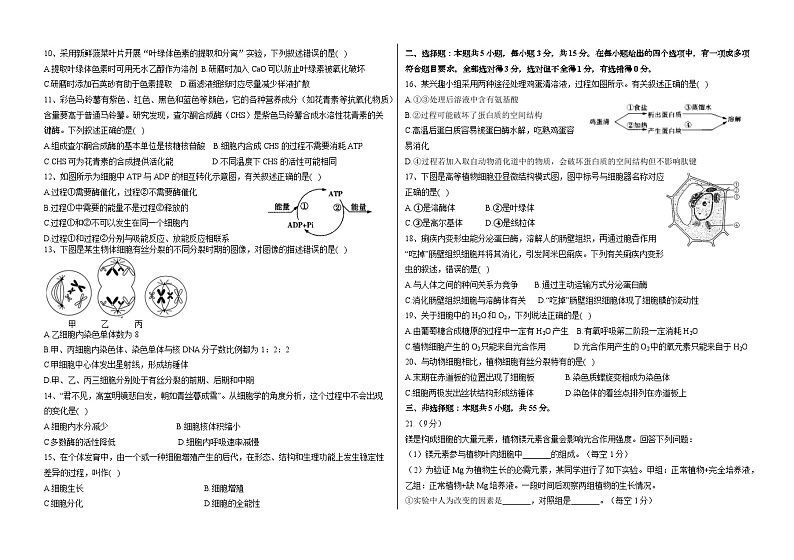 黑龙江省佳木斯市佳木斯八中等四校联考2023-2024学年高三上学期第一次调研考试生物试题02