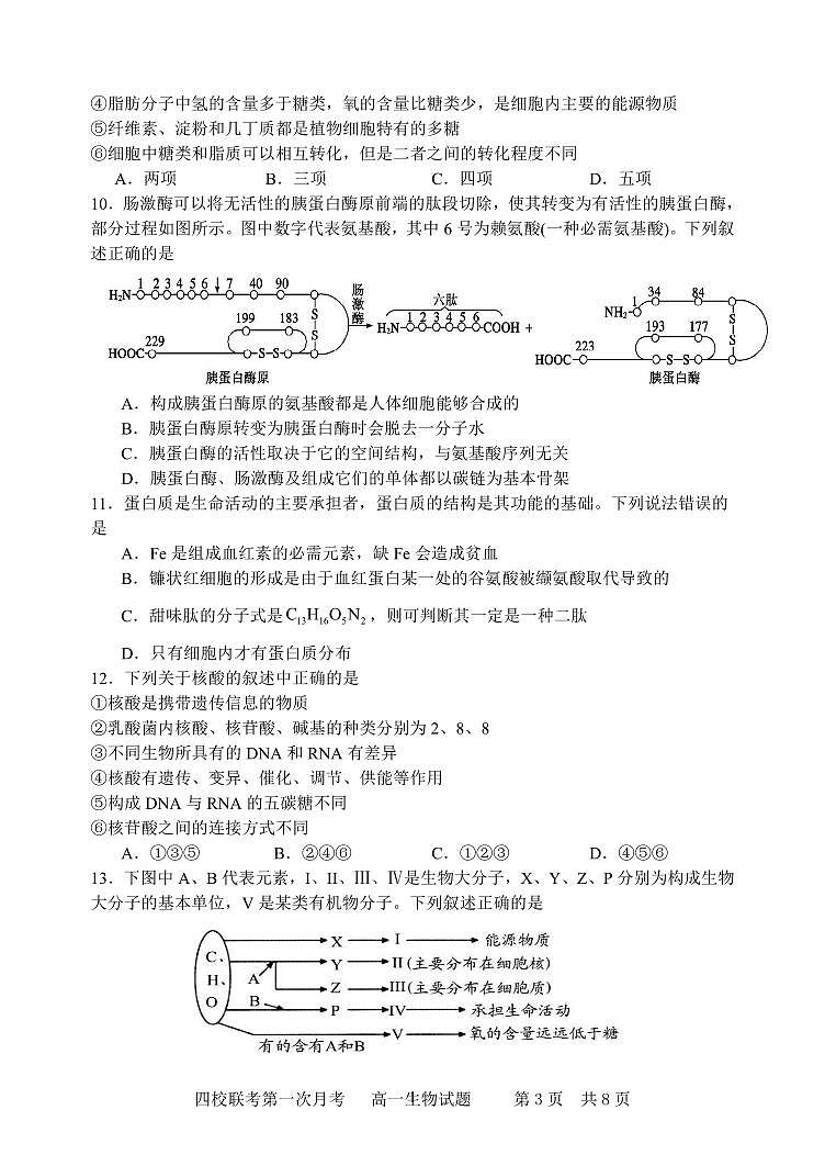 吉林省长春十一高等四校联考2023-2024学年高一上学期第一次月考生物试题03