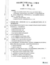 河北省沧州市大数据联考2023-2024学年高二上学期10月月考生物试题