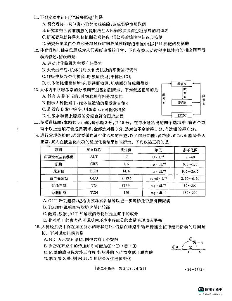 河北省沧州市大数据联考2023-2024学年高二上学期10月月考生物试题03
