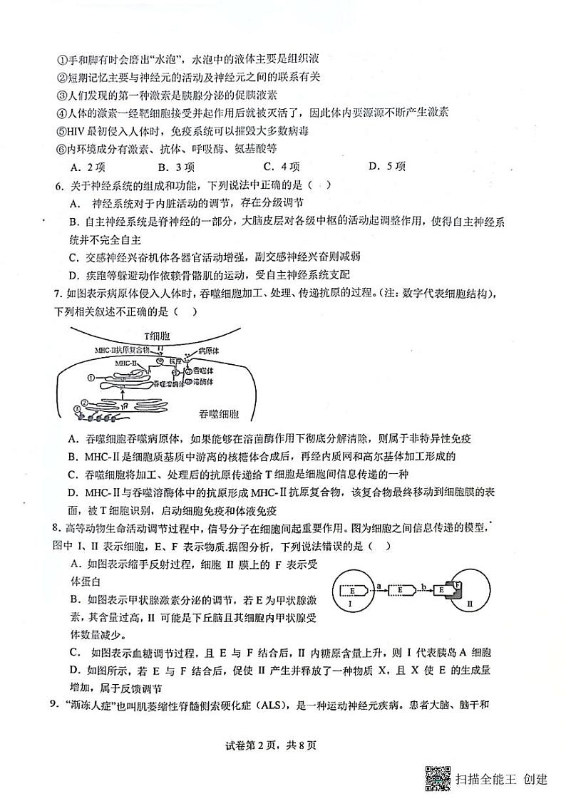 山东省烟台市龙口市2023-2024学年高二上学期10月月考生物试题第2页