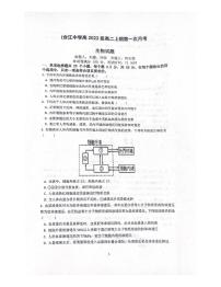 四川省泸州市合江中学2023-2024学年高二上学期第一次月考生物试题