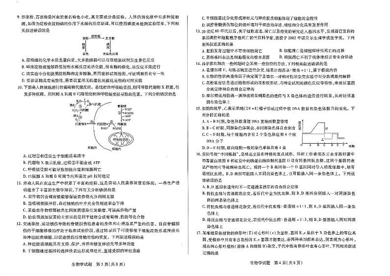 扫描件_生物试题第2页
