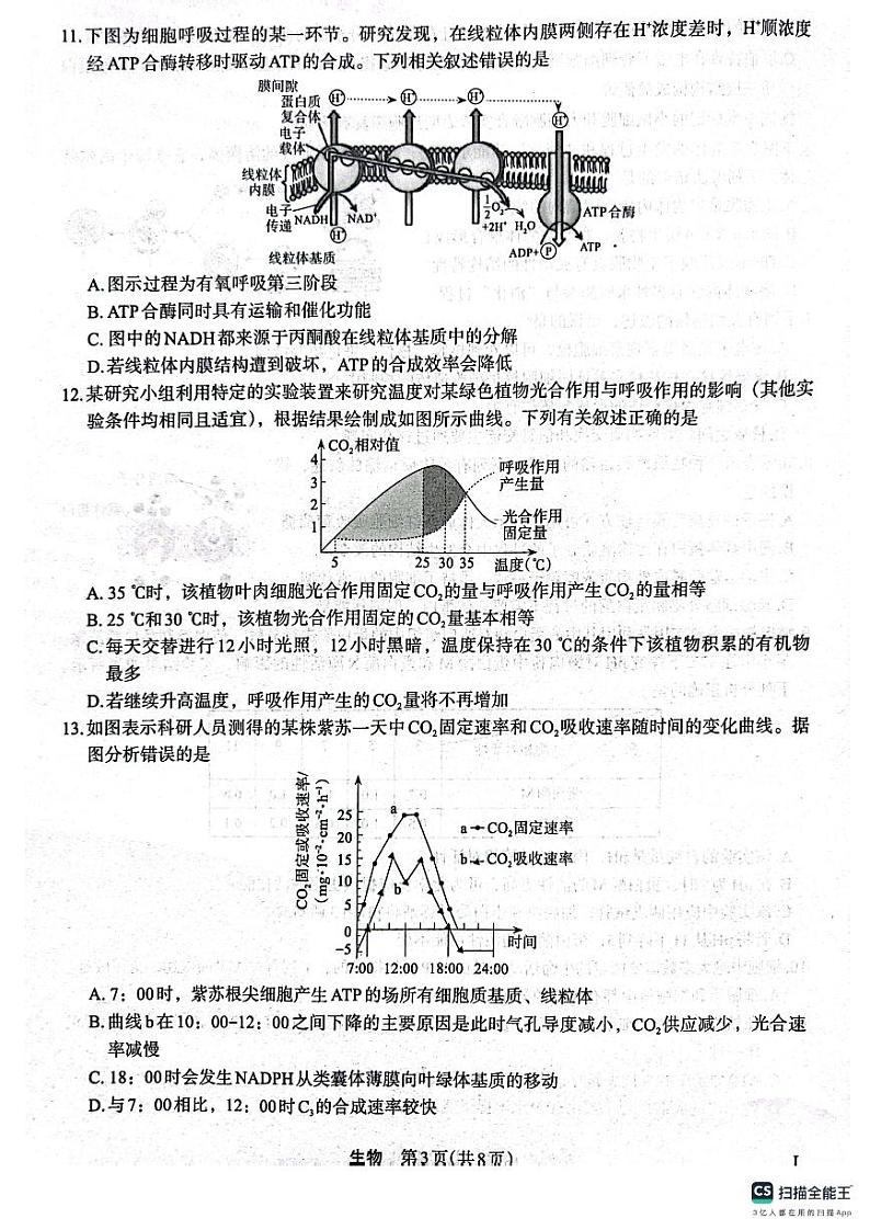 陕西省菁师联盟2024届高三10月质量监测考试生物第3页