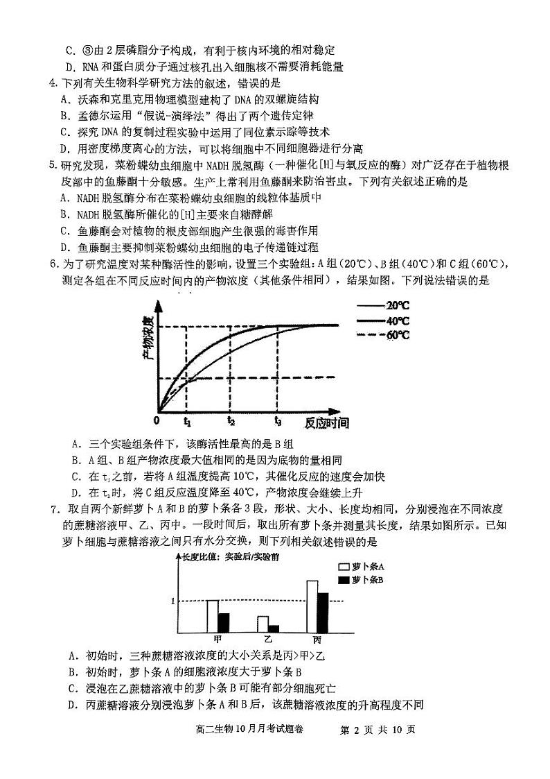 2024杭州四校高二上学期10月联考试题生物PDF版含答案02