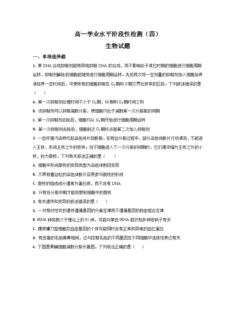 2023青岛莱西高一下学期期末生物试题含解析01