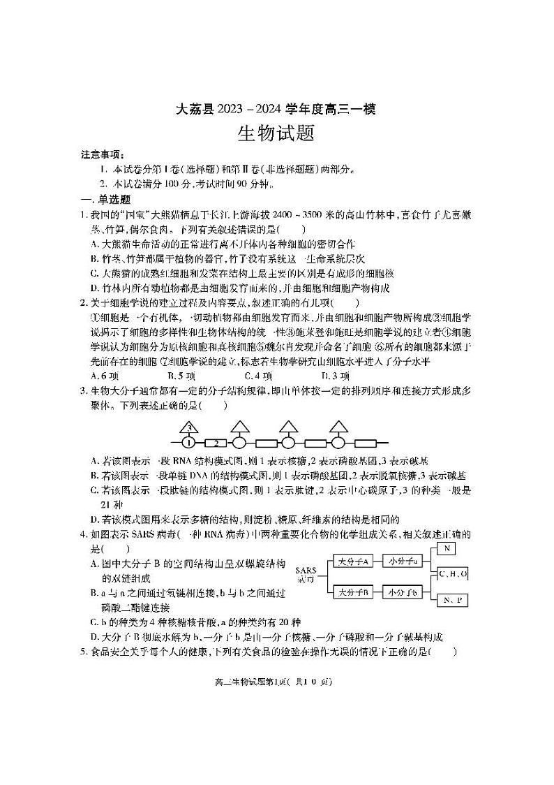陕西省渭南市大荔县2024届高三生物一模试题（PDF版附答案）01