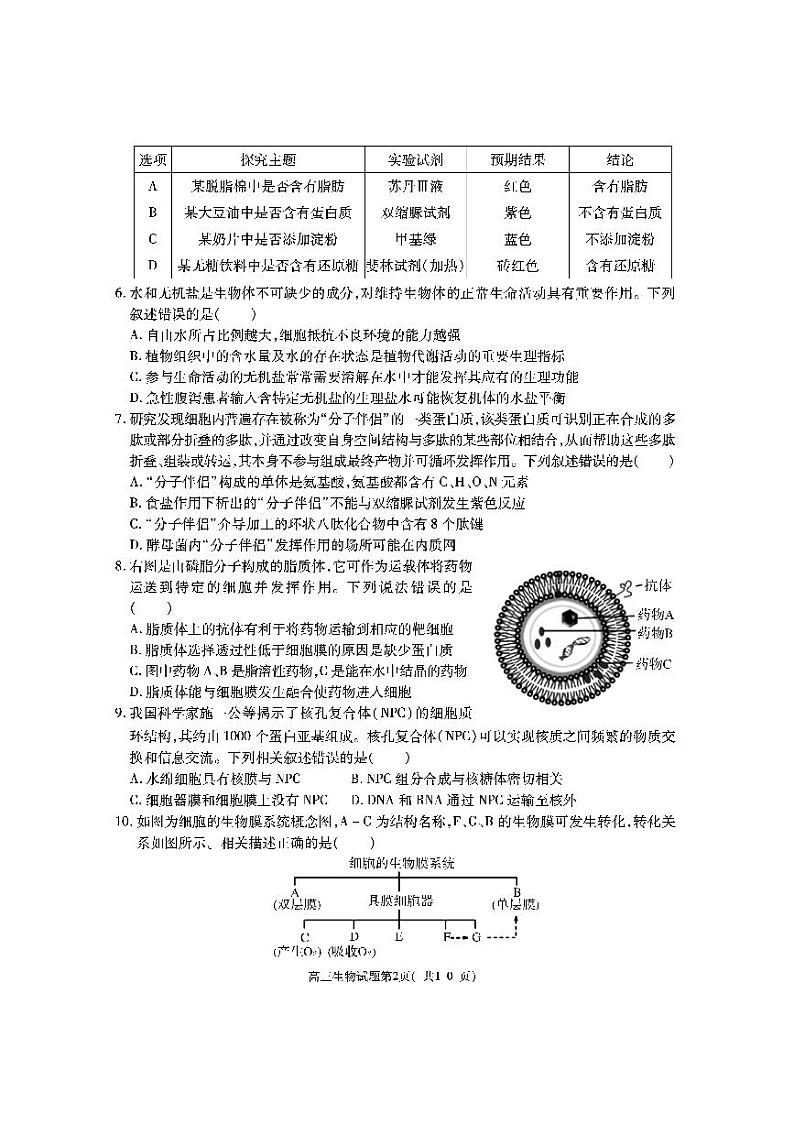 陕西省渭南市大荔县2024届高三生物一模试题（PDF版附答案）02