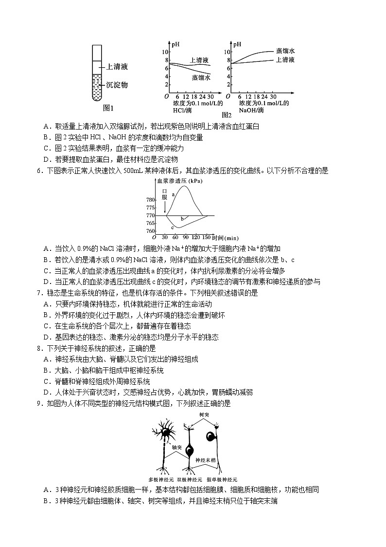 四川省绵阳南山中学2023-2024学年高二生物上学期10月月考试题（Word版附答案）第2页