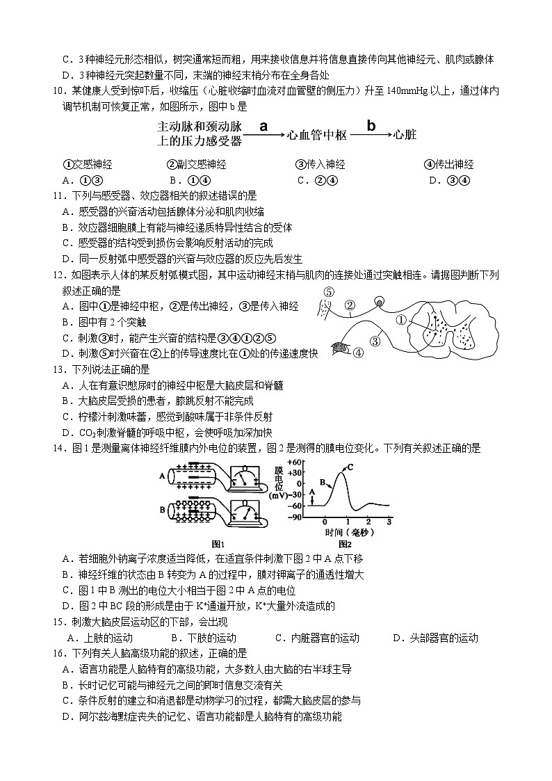 四川省绵阳南山中学2023-2024学年高二生物上学期10月月考试题（Word版附答案）第3页