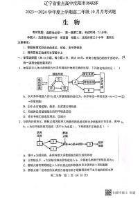 辽宁省重点高中沈阳市郊联体2023-2024学年高二上学期10月月考生物试题（月考）