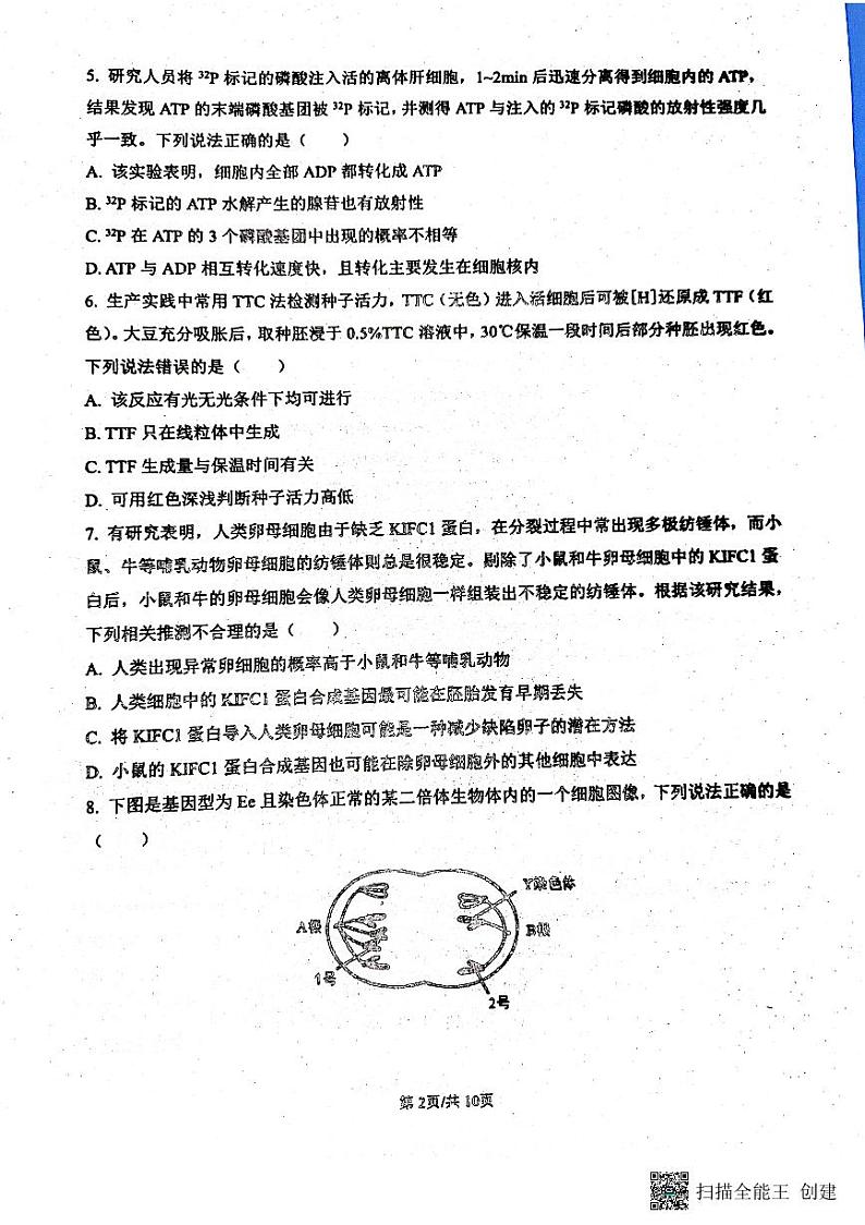 山东省宁阳县第四中学2023-2024学年高三上学期10月第一次阶段性测试生物试题（月考）第2页