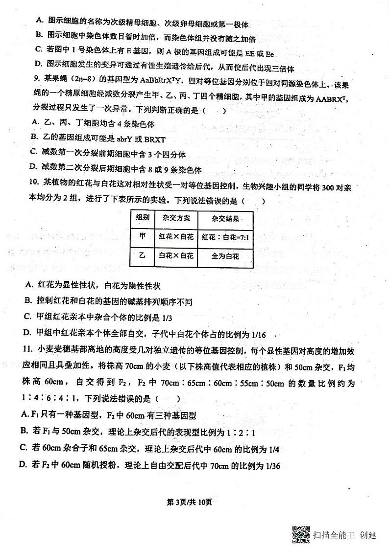 山东省宁阳县第四中学2023-2024学年高三上学期10月第一次阶段性测试生物试题（月考）第3页