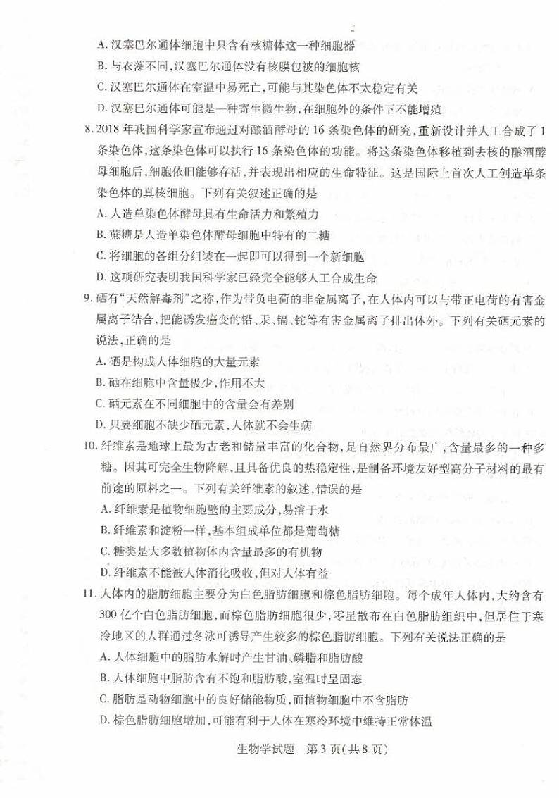河南省大联考2023-2024学年高一上学期阶段性测试（一）生物试题03
