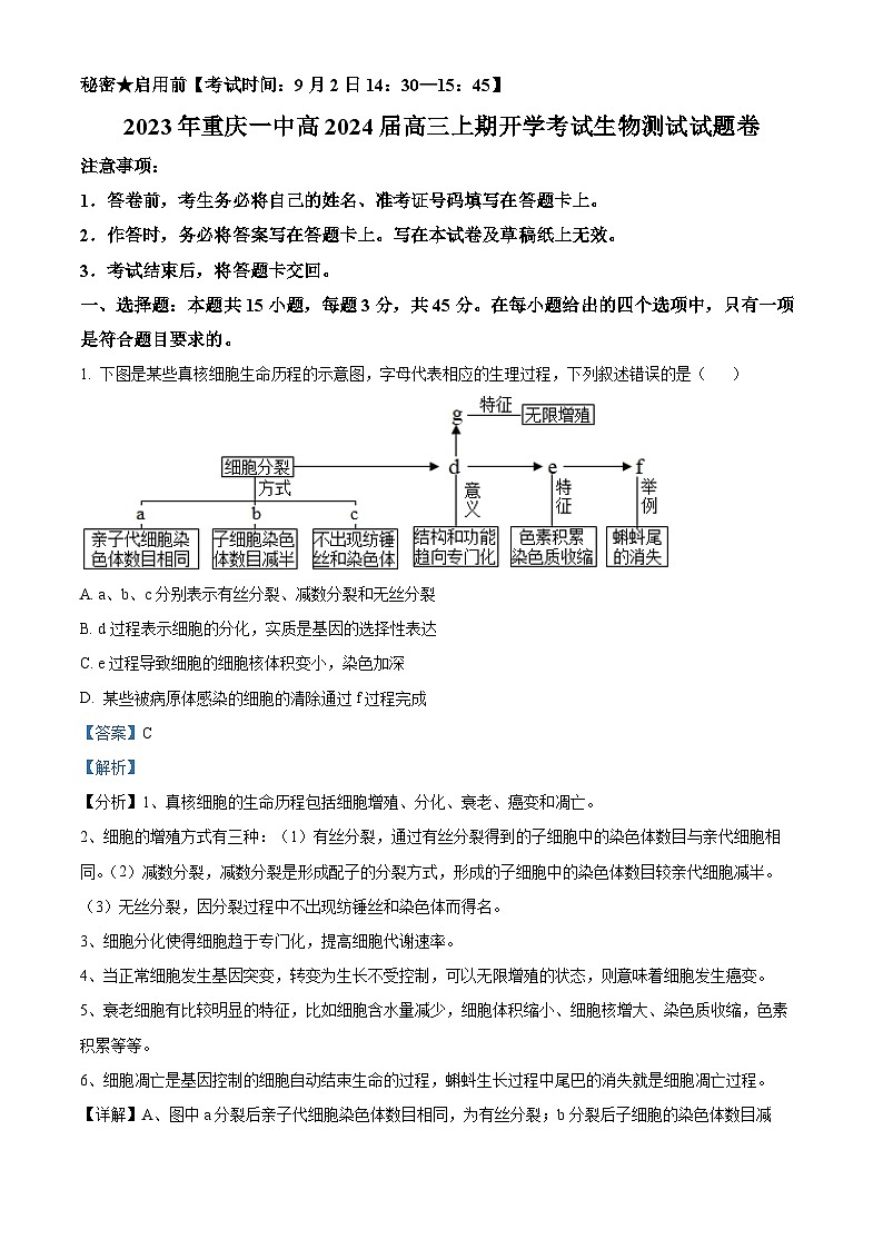 重庆市一中2023-2024学年高三生物上学期开学考试试题（Word版附解析）01