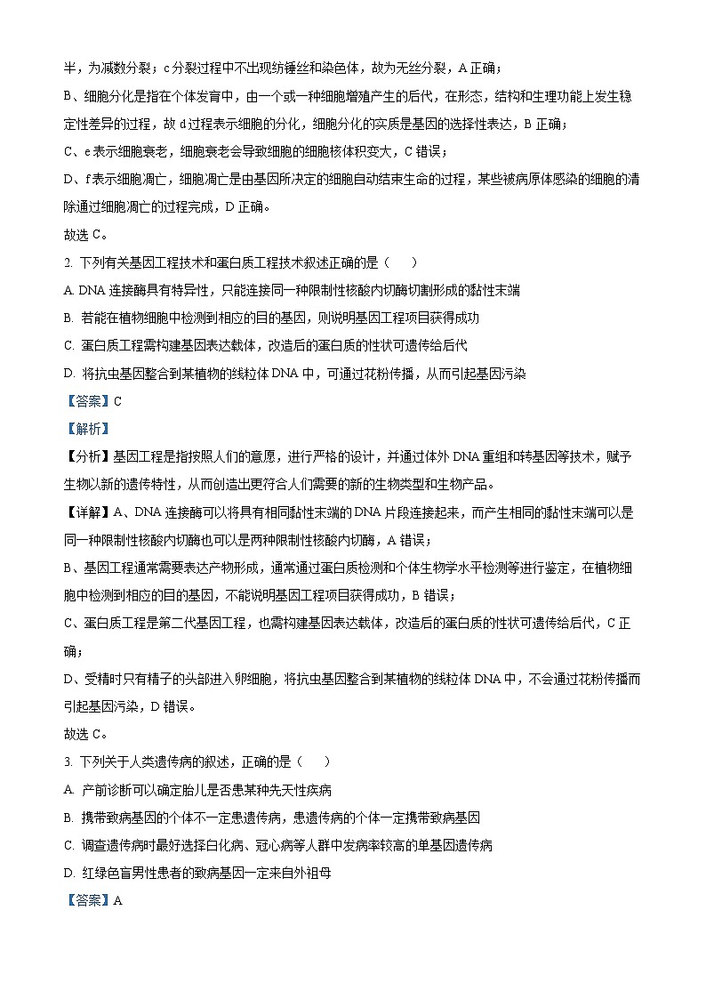 重庆市一中2023-2024学年高三生物上学期开学考试试题（Word版附解析）02