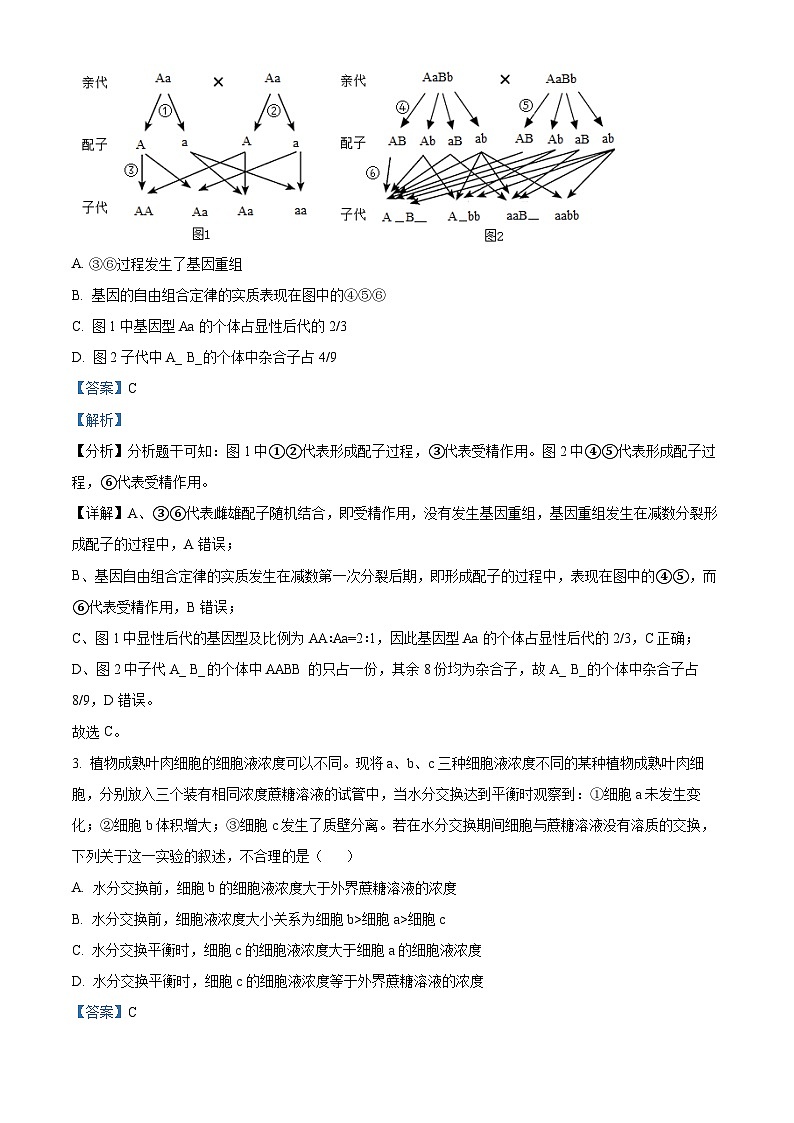 四川省攀枝花市十五中2023-2024学年高三生物上学期9月第一次统考试题（Word版附解析）第2页