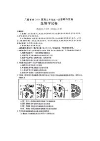 贵州省六盘水市2023-2024学年高三上学期第一次诊断性监测生物试卷