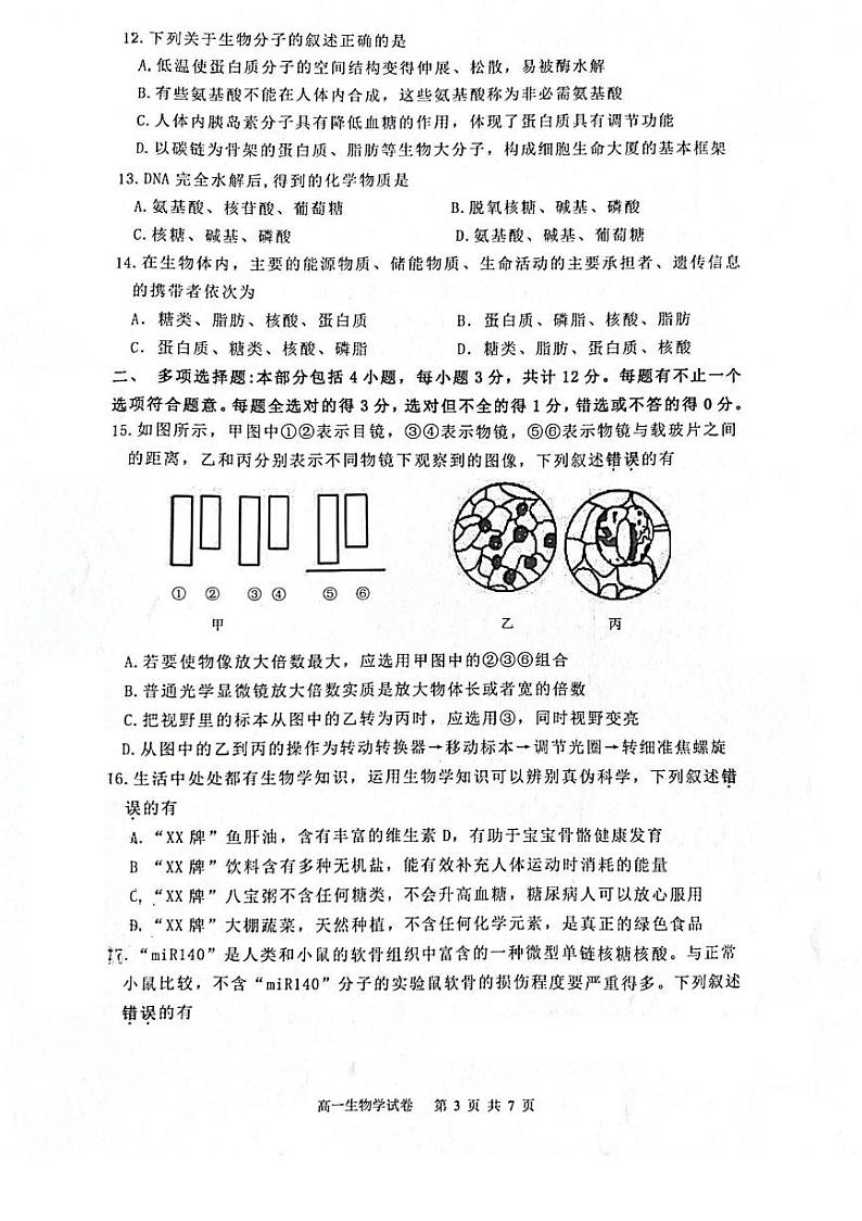 江苏省镇江市丹阳市2023-2024学年高一上学期10月月考生物试题03